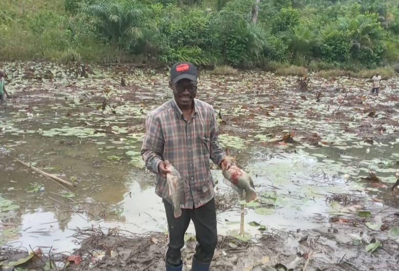 Article : RDC : la pisciculture, un secteur prometteur dans le milieu entrepreneurial